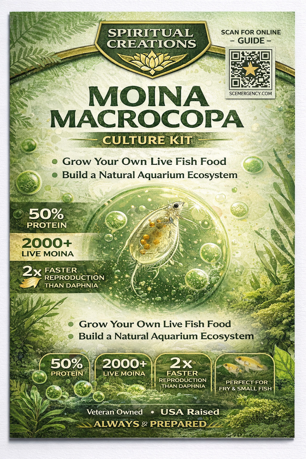2000+ Live Moina Macrocopa 22oz container, with spirulina and dry yeast food mix