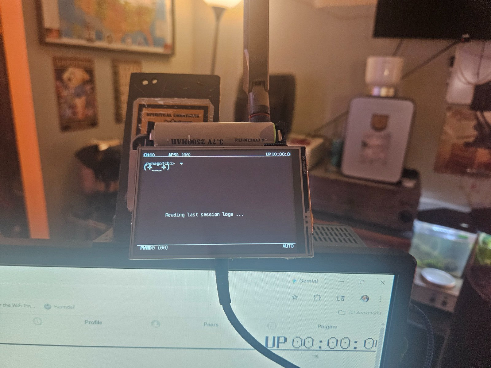 NETWORK SECURITY PEN TESTER Pwnagotchi+Fancygotchy long range antennae