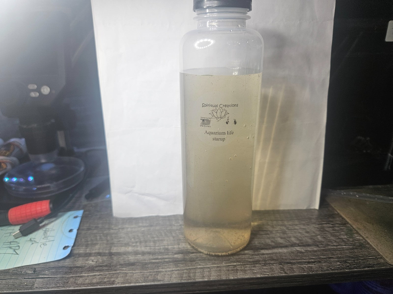 1000+ Live Moina Macrocopa (Daphnia's Smaller Cousin)  Culture, food mix too!