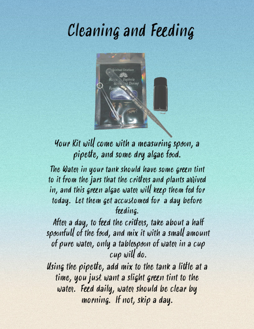 2000+ Live Moina Macrocopa 22oz container, with spirulina and dry yeast food mix