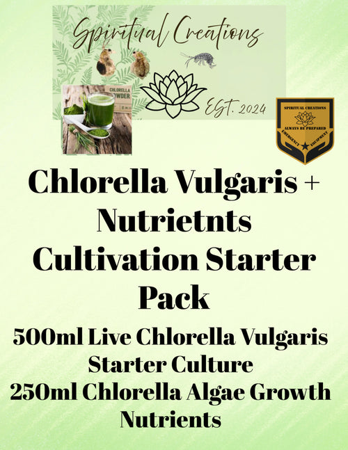 Live Chlorella Vulgaris Culture (500ml) and Algae Growth Nutrient (250ml)