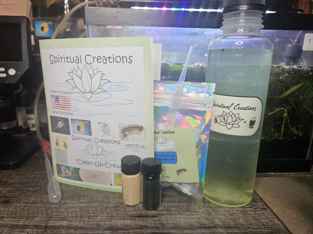 1000+ Live Moina Macrocopa (Daphnia's Smaller Cousin)  Culture, food mix too!