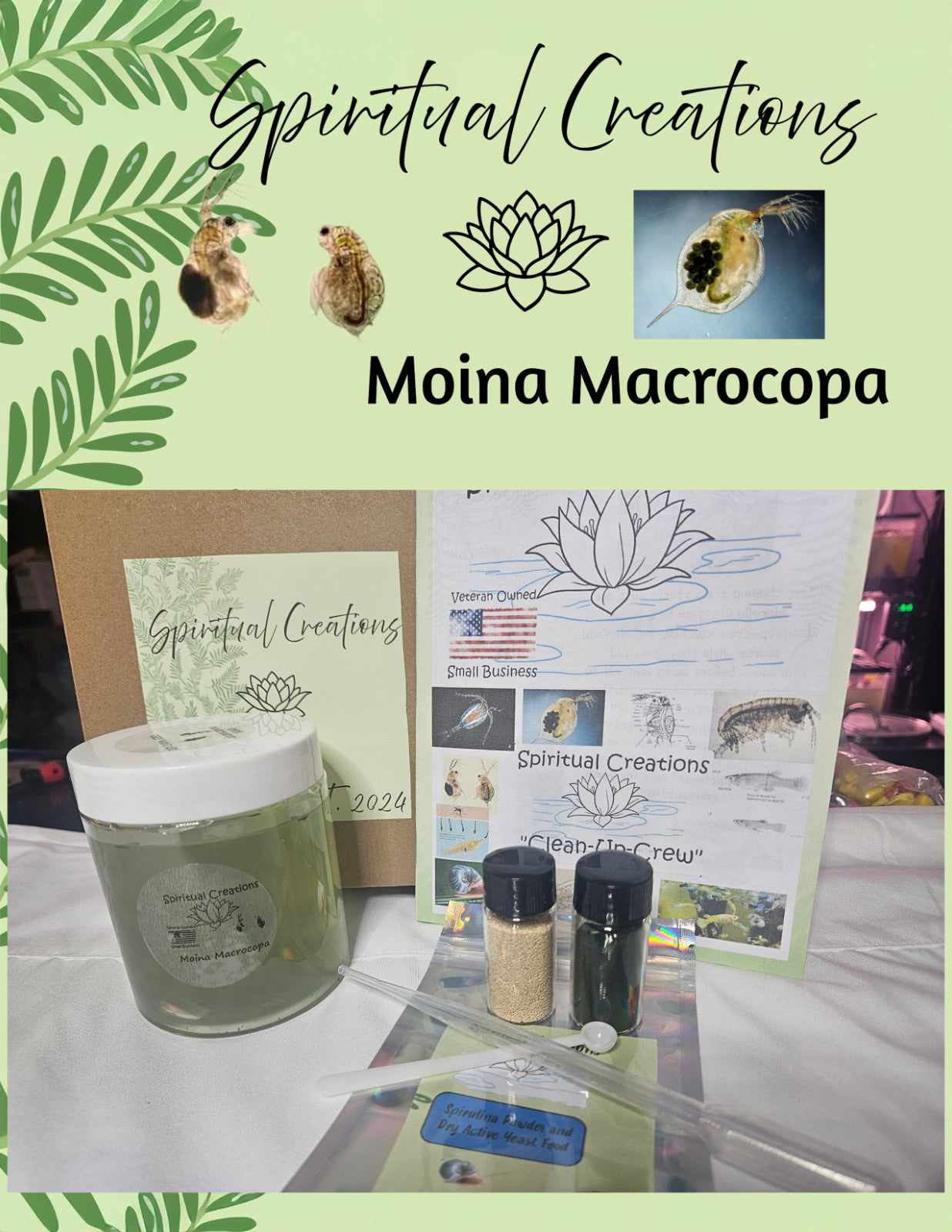2000+ Live Moina Macrocopa 22oz container, with spirulina and dry yeast food mix