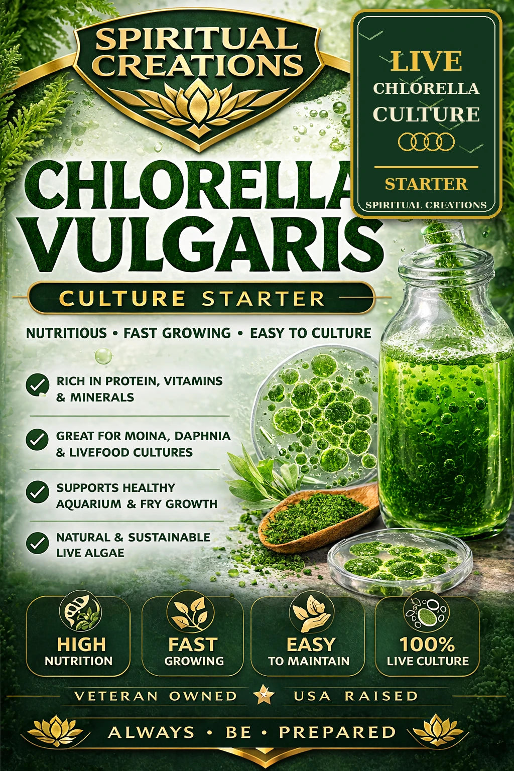 Chlorella Vulgaris culture starter image