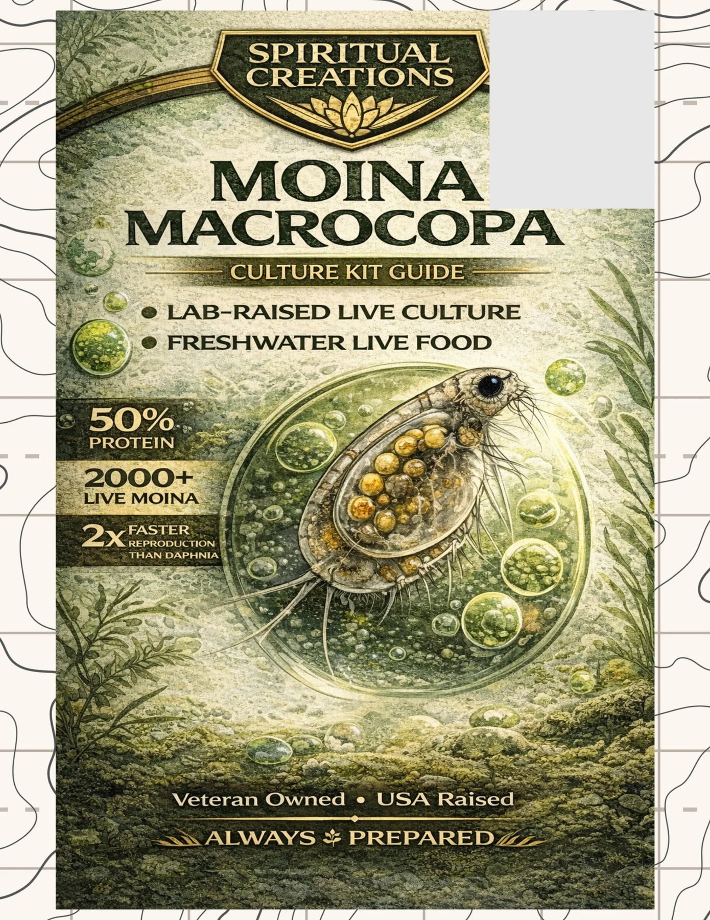Moina Macrocopa culture guide cover